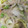 mskmsk7's cooksnap of when they made ちゃんぽん風　春雨炒め　ご飯がススム.