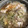 kicomari's cooksnap of when they made 白菜とツナの簡単煮.