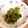 うらもこ's cooksnap of when they made 白だしで簡単☆豆苗ごま和え♪お弁当にも◎.