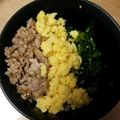 mystory198's cooksnap of when they made お弁当にも！三食そぼろご飯♪.