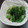 ほぴろう's cooksnap of when they made はくさい菜のおろしポン酢和え.
