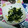 Hitomiクック's cooksnap of when they made 筍とワカメの酢みそ和え.