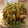 traum1's cooksnap of when they made 簡単！ジャガイモ豆苗オイスターソース炒め.