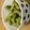 Amylia's cooksnap of when they made 絶品！枝豆のゆで方。このひと手間がコツ。.