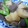 しゅんぺいのママ's cooksnap of when they made 豚肉とさといものほっくり煮。.