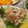 クックUPCP2V☆'s cooksnap of when they made 簡単！豆苗とツナとお豆腐の無限和え物.