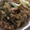 no1642's cooksnap of when they made 簡単♪水菜ともやしの豚バラ炒め.