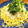 YUKIKI☆'s cooksnap of when they made じゃこおろしの塩焼きそば.
