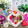 Dream♪'s cooksnap of when they made 簡単！きゅうりの生ハム巻き.