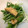 わたるんママ's cooksnap of when they made レンジで1分！あげと水菜の煮びたし.