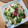 にこクック1217's cooksnap of when they made タコときゅうり、長イモの和え物.