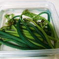 アチシ666's cooksnap of when they made 簡単放置！わらびのアク抜き.