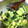 YUKO0627's cooksnap of when they made 絶品 アボカドときゅうりの海苔わさび和え.