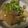エクストリーマー's cooksnap of when they made 野菜嫌いのパパが大好きな豚バラ大根.