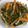 クック9LBOBG☆'s cooksnap of when they made 【健康レシピ】ごぼうのご飯のお供.