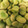 クックPIHA91☆'s cooksnap of when they made そら豆の塩茹での仕方.