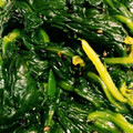 ナナミ０８３０'s cooksnap of when they made ほうれん草の胡麻和え.