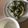 Yokchina's cooksnap of when they made トルコの家庭料理☆そら豆とディルの前菜.
