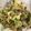 starwars3's cooksnap of when they made 10分で簡単！◎野菜のバタポン炒め◎.