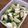 niko2chama's cooksnap of when they made 子蕪の昆布だし煮.