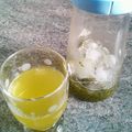 ebipeco's cooksnap of when they made 冷茶（氷出し煎茶）.