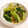 ぷちぷちぷちやん's cooksnap of when they made 牛肉と小松菜のカレーソース炒め.