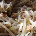 no1642's cooksnap of when they made 簡単♪もやしとツナのおつまみ塩昆布ナムル.
