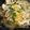 クックR5CMFN☆'s cooksnap of when they made 鶏胸肉de親子丼.