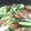 mariko0609's cooksnap of when they made 小松菜としめじのオイスターソース炒め☆.
