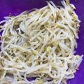トラととら's cooksnap of when they made もやしのナムル.