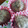 よよよよちゃこ's cooksnap of when they made 卵乳砂糖不使用 米粉とバナナの蒸しパン.