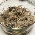 クックCB69II☆'s cooksnap of when they made 材料4つ、もやしとツナの塩昆布和え.
