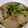 酒を飲みたい's cooksnap of when they made もつネギ炒め.