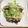 フラッパーママ's cooksnap of when they made 鰹のたたき.