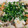 metabo3号's cooksnap of when they made 帆立ときのこの塩麹炒め.