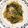 kako1223's cooksnap of when they made 青臭くない！うまうま豆苗と塩昆布パスタ♪.