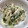 かおRёё's cooksnap of when they made 胡麻ダレで簡単！ささみときゅうりのサラダ.