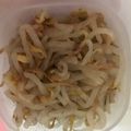 ma___111's cooksnap of when they made ルクエで簡単もやしナムル♪.