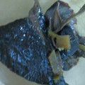 jimi8823's cooksnap of when they made 簡単♪マグロの血合いの生姜煮.
