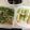 にわこぽっぷ's cooksnap of when they made ハムとキャベツのクルクル巻き.
