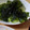 ルルルるか☆'s cooksnap of when they made 簡単おつまみ！レタスのナムルー…風！.