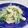 ＊ろりす＊'s cooksnap of when they made さっと一品★水菜と油揚げのマヨネーズ炒め.