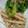 り—ちんまま's cooksnap of when they made ほうれん草をわさび醤油で.