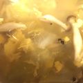 クックG1G6LN☆'s cooksnap of when they made レタスと卵の簡単スープ.