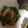 ma___111's cooksnap of when they made キムチとピーマン炒めたん❤.