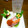 りこまこせいやのパパ's cooksnap of when they made 母の日に☆簡単ごちそうちらし寿司.