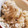 摩訶たいしょう's cooksnap of when they made たっぷりきのことツナの炊き込みご飯.