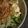 LOVEくまモン's cooksnap of when they made ☆さっぱり新たまねぎと豆腐サラダ☆.