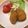 コルとチョコ's cooksnap of when they made れんこんのはさみ揚げ.