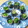 しょうげんめぐみ's cooksnap of when they made お弁当に♬ほうれん草の海苔ハム巻き浸し♪.